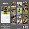 Airedale Calendar Back Cover
